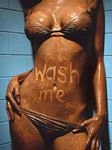 pic for wash me im dirty